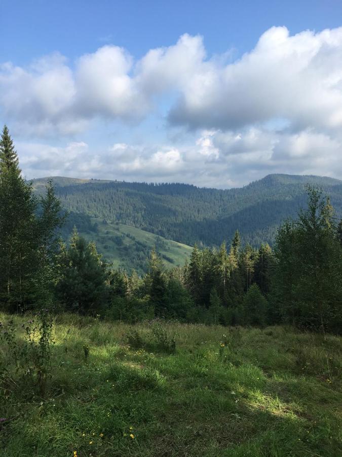 Котедж "У Бойка" Mykulytschyn Exterior foto
